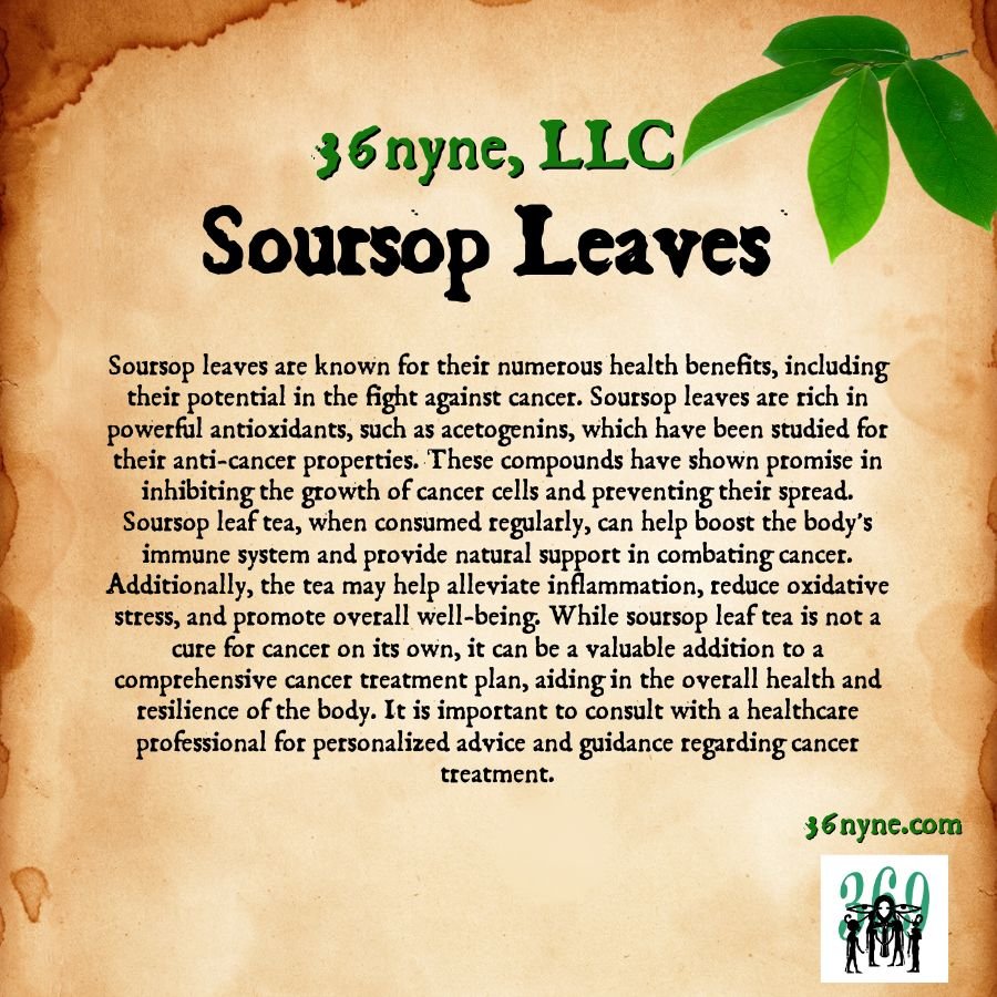 Have You Heard The Buzz About The Latest Miracle Leaf Taking Wellness Circles By Storm?