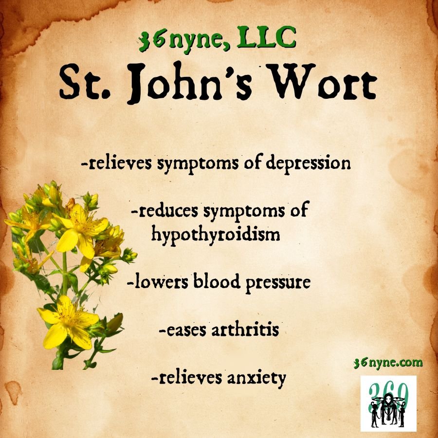 St. Johns Wart (Natural Anti-depressant)