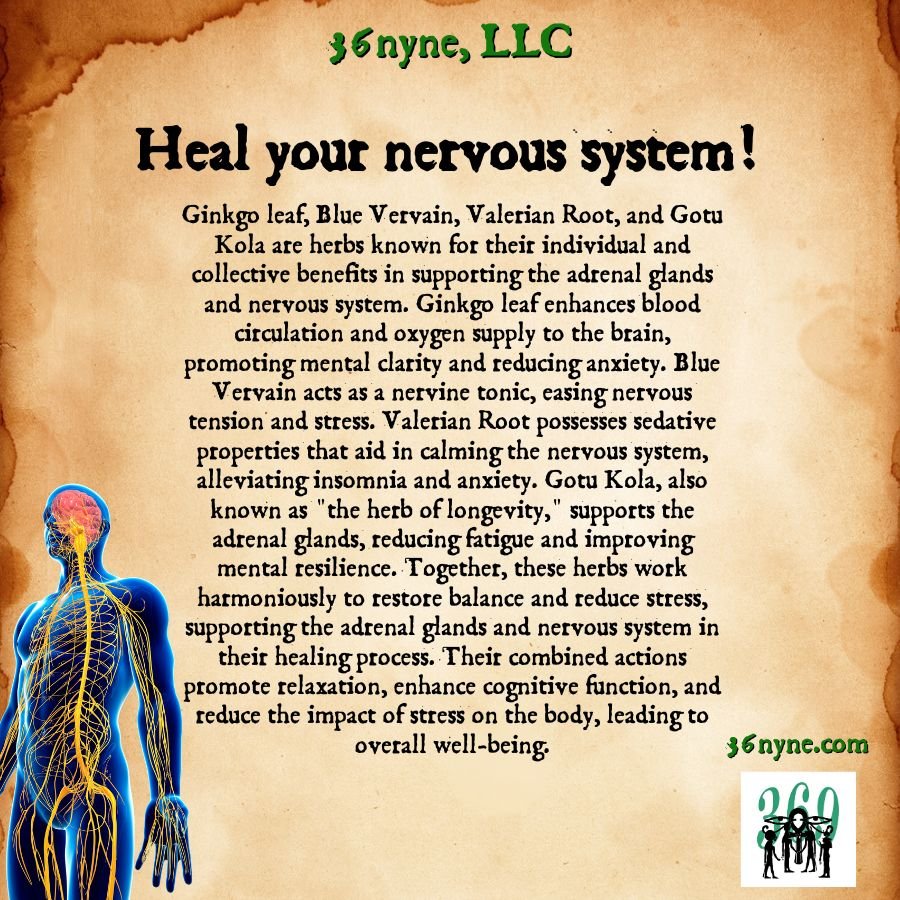 Calm The Nerves (adrenal gland/nervous system loose leaf blend)-SQ7230662