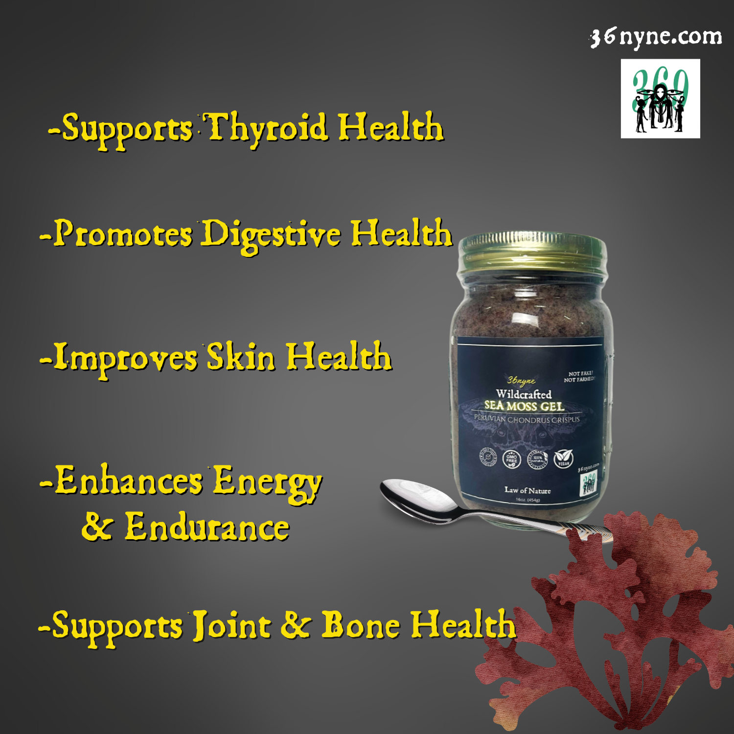 Power of Nature with Our Wild-Harvested Sea Moss Gel