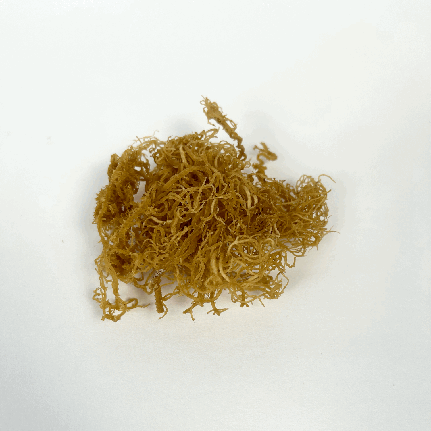 Can You Clean Up Your Health with Sea Moss Gummies?