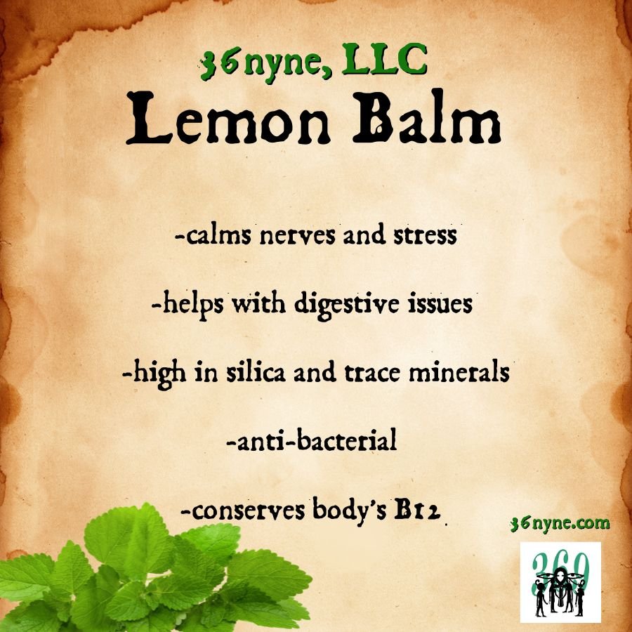 Lemon Balm  (Calming)