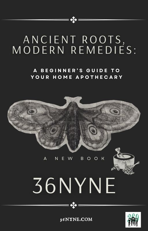 Ancient Roots, Modern Remedies: A Beginner’s Guide to Your Home Apothecary